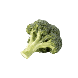 Rock Melon