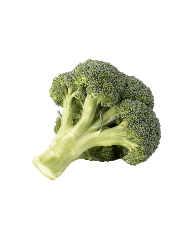 Rock Melon