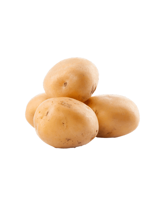 Potato